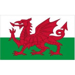 Galler Masa Bayrağı