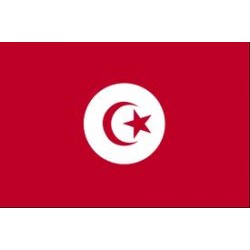 Tunus Devlet Bayrakları